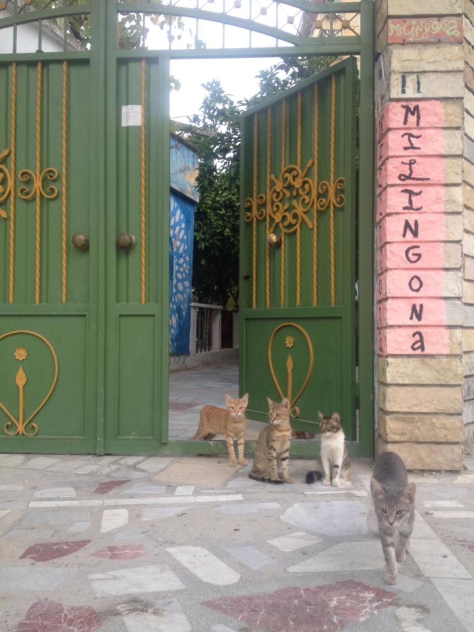 Milingona City Center Hostel Tirana Exterior photo